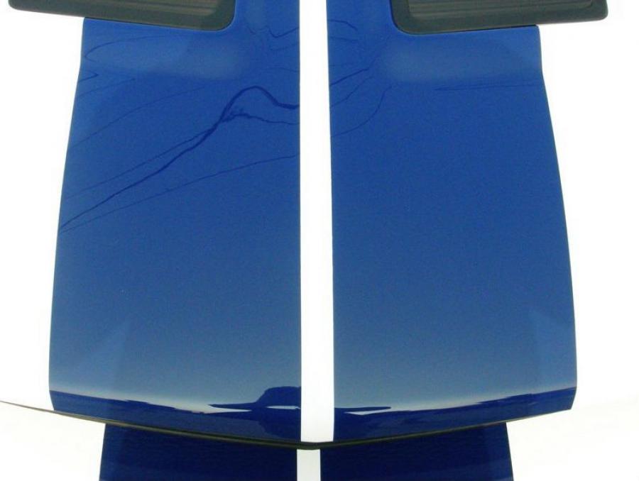  Ford Mustang GT500 by StangNet 2007 года  (фото 11 из 13)